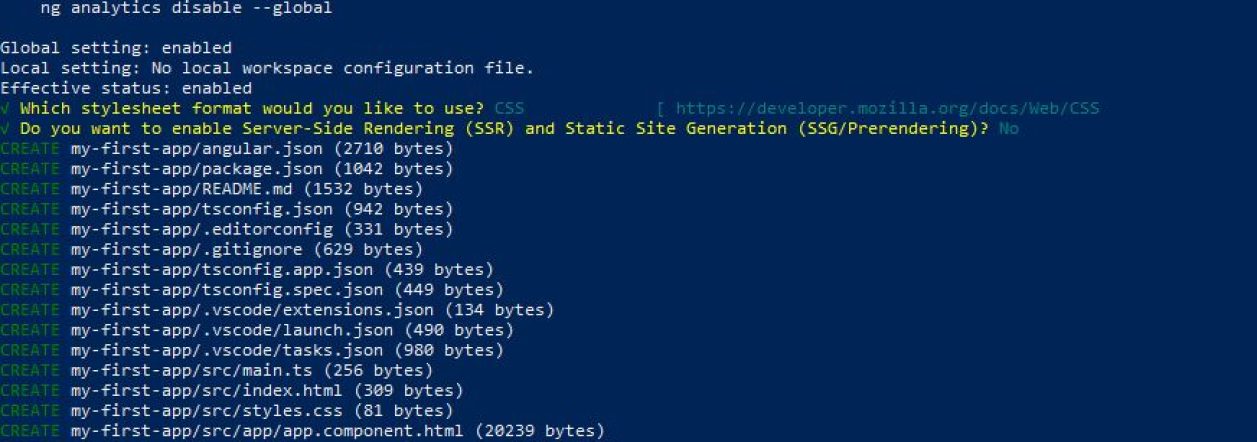 2. first app directory created for angular