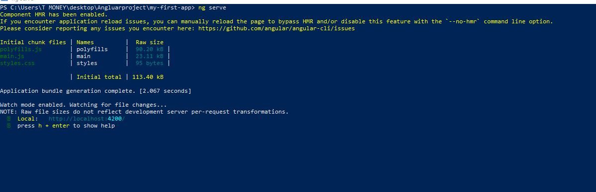 3. Run ng serve and copy the local host into your webpage very impt