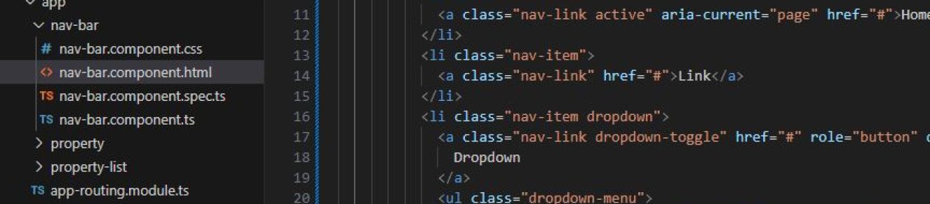 8. navigate to the html section of our navbar component and paste the code there